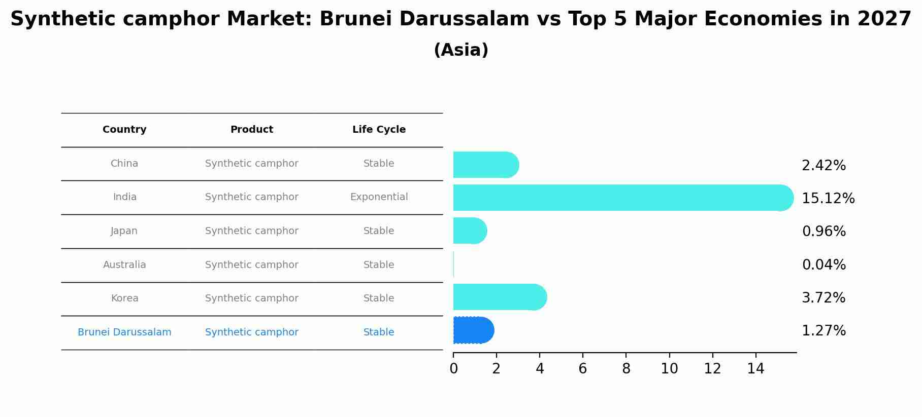 Synthetic camphor Market: Brunei Darussalam vs Top 5 Major Economies in 2027 (Asia)